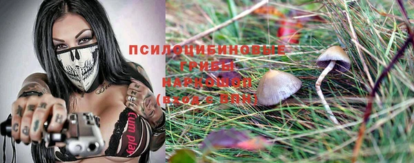 дмт Нязепетровск