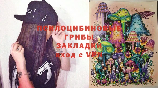 а пвп мука Няндома