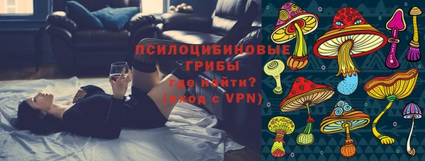дмт Нязепетровск