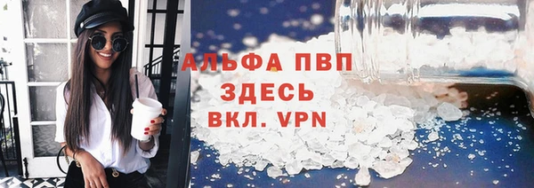 СК Новокубанск