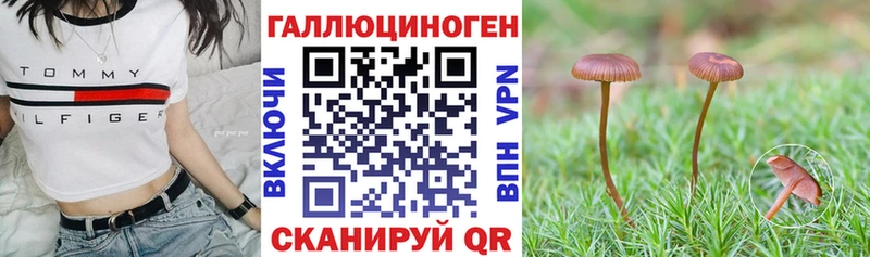 Галлюциногенные грибы ЛСД  Калининец 